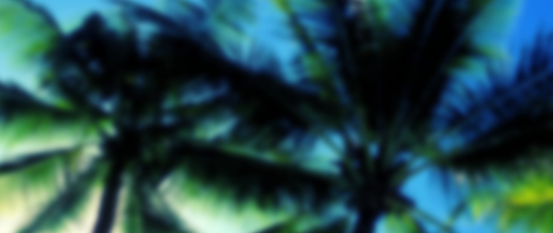 CLEARANCE SECTION - FINAL SALE