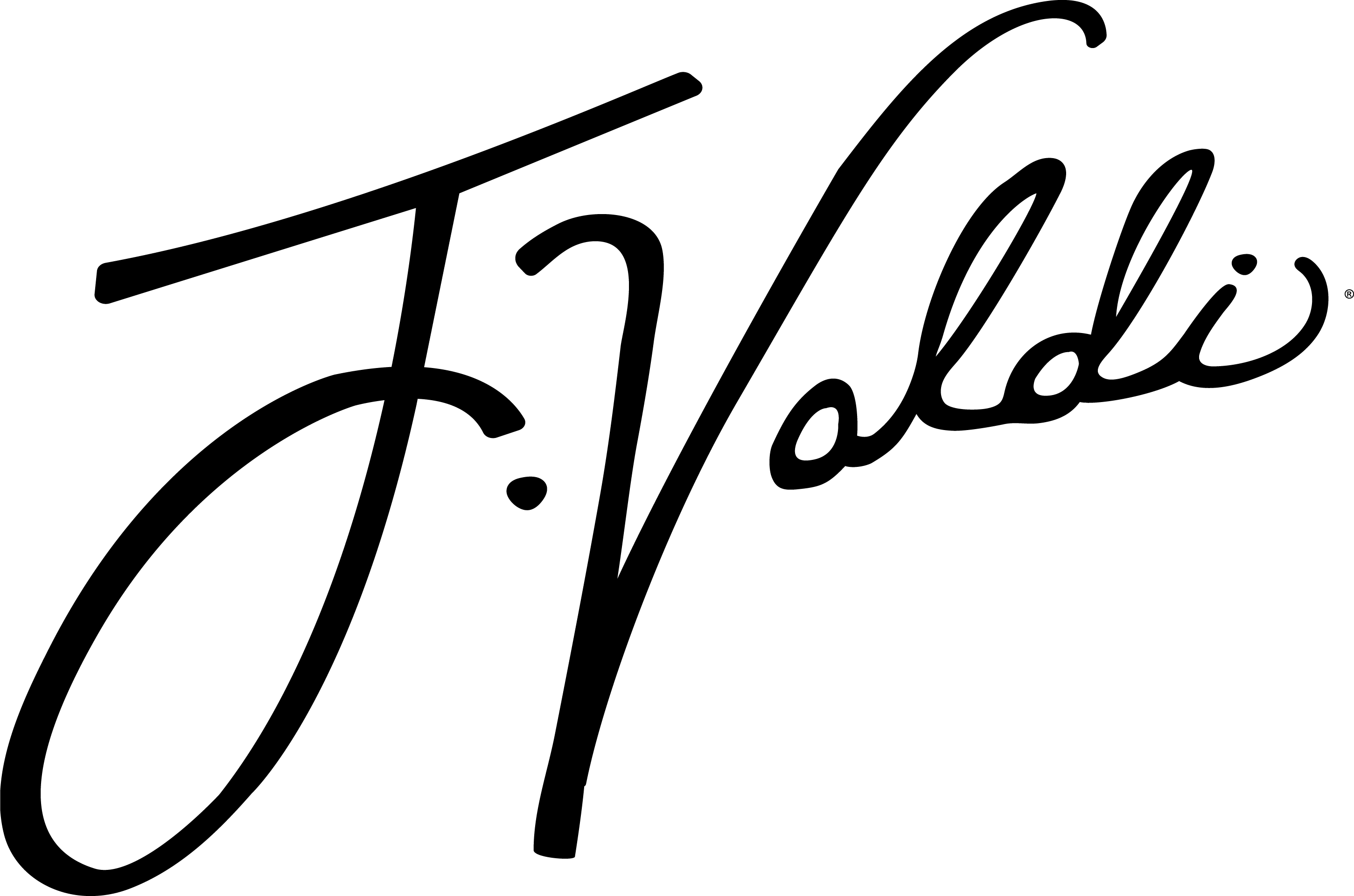 Women s Plus Size Swimwear Cover ups and Tunics J.Valdi Beachwear